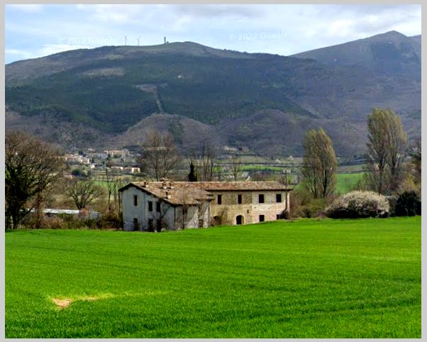 panoramica della tenuta dove è ubicato il casale in ristrutturazione, sullo sfondo le alture di Fossalto di Vico